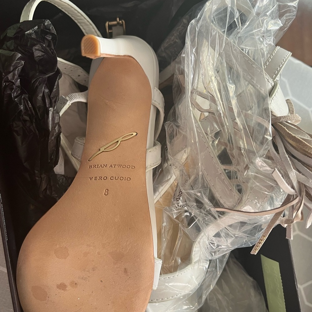 Brian Atwood - image 2